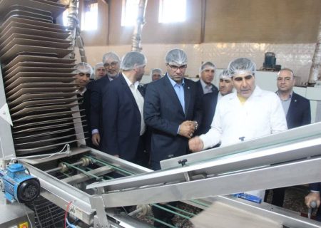 ۴۰۰ میلیارد ریال تسهیلات بانک توسعه تعاون برای افزایش ظرفیت تولیدی شرکت زرین ظفر خرم‌آباد