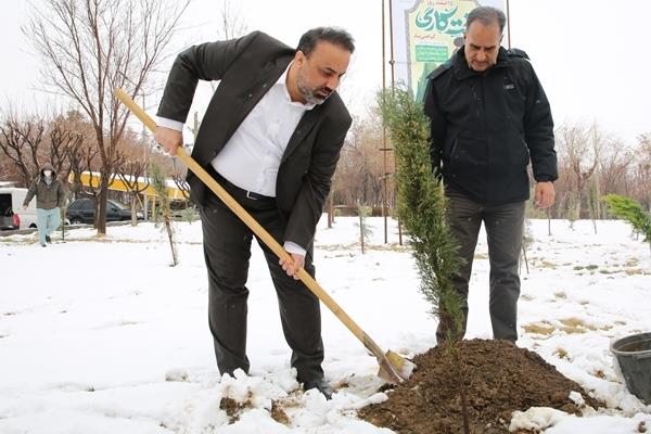 همزمان با روز درختکاری در سبزترین پتروشیمی کشور: غرس نهال از سوی مدیرعامل شاراک