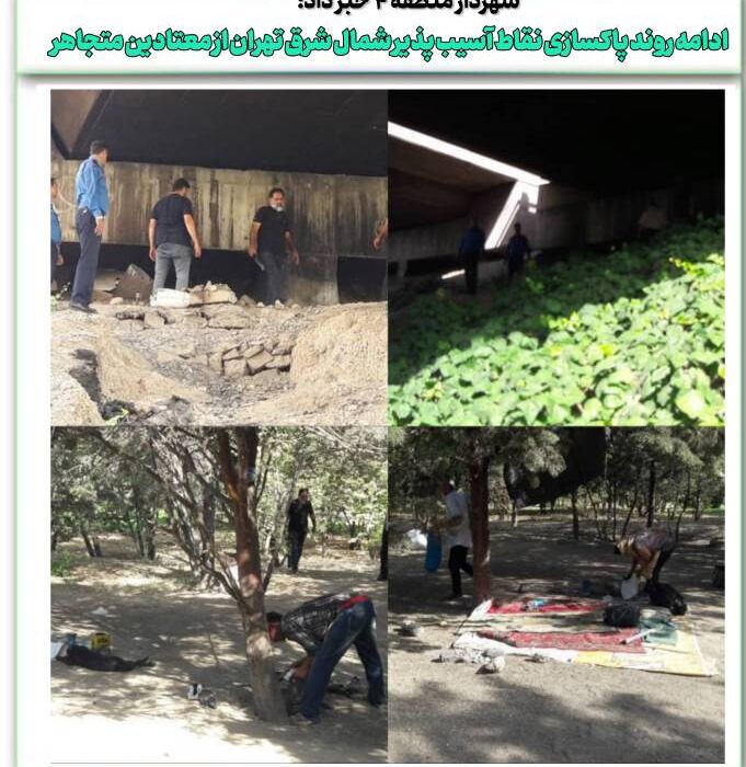 ادامه روند پاکسازی نقاط آسیب پذیر شمال شرق تهران از معتادین متجاهر