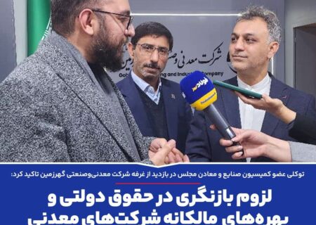 لزوم بازنگری در حقوق دولتی و بهره‌های مالکانه شرکت‌های معدنی