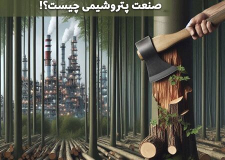 فساد ستیزی مدیران جهادی صنعت پتروشیمی برای چه کسانی گران تمام می شود؟!