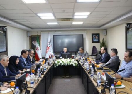 ارایه ۸ پیشنهاد در رفع ناترازی های انرژی فولادی ها از سوی آقاجانلو/ نعمت زاده: در حال تهیه آیین نامه ای برای رفع ناترازی های صنایع معدنی هستیم
