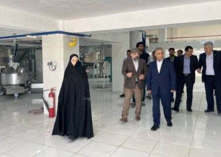 بازگشت”ایلیا ذرت سبز“ به چرخه تولید در غرب کشور