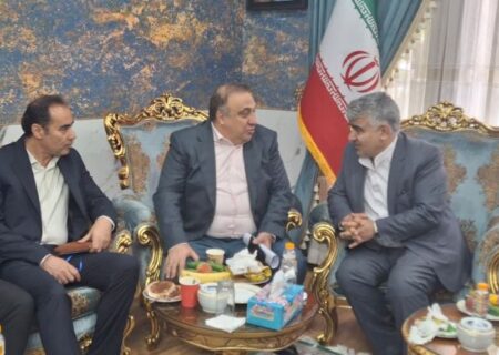 گسترش تعاملات صبانور در راستای استراتژی توسعه
