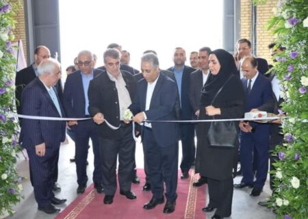تولید ۱۵۰هزار پاكت پروپیلن در روز با سرمایه گذاری بانك صنعت و معدن