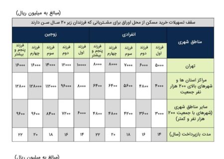 طرح «تملی» بانک ملی ایران؛ تحقق رویای خانه دار شدن خانواده ها