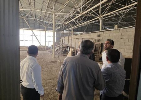 بررسی میدانی جانمایی بازارچه مشترک مرزی در شلمچه