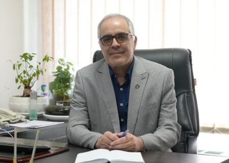 نقش راهبردی سازمان‌های توسعه‌ای در شتاب‌بخشی به اکتشافات معدنی و کشف ذخایر پنهان
