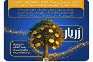 نوآوری بیمه پارسیان در حمایت از خانواده‌ها با ارایه «طرح زریار»