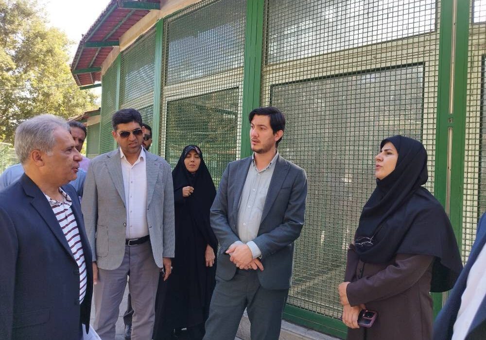 ضرورت معرفی اراضی بالای 2 هزار متر برای احداث نیروگاه خورشیدی در تهران