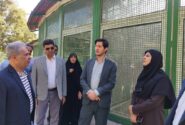 ضرورت معرفی اراضی بالای 2 هزار متر برای احداث نیروگاه خورشیدی در تهران