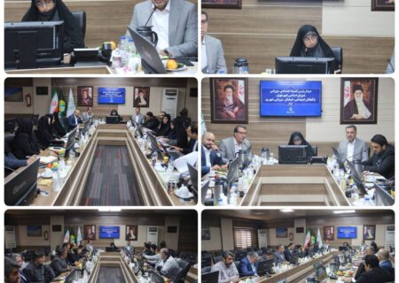 عضو شورای شهر بر تقویت تاب‌آوری شهری و بازبینی مهارت‌های مدیریت بحران تاکید کرد