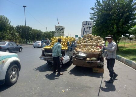 ساماندهی صنوف و ارتقای انضباط شهری در منطقه ۱۹