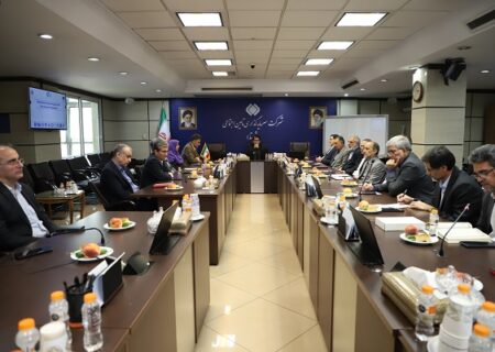 دیدار مدیرعامل شستا با مدیرکل همکاری‌های اقتصادی وزارت خارجه و برخی سفرای ایران