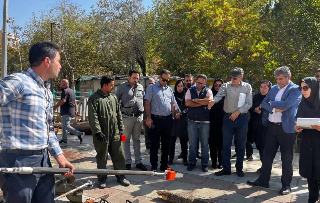 آمادگی شهرداری منطقه یک برای هرس و برف‌تکانی درختان در شش ماه دوم سال