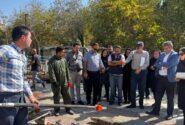 آمادگی شهرداری منطقه یک برای هرس و برف‌تکانی درختان در شش ماه دوم سال