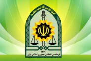 توضیح پلیس درباره بازداشت یک بازیگر معروف
