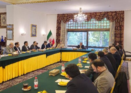 سمیعی نژاد خبر داد: ایمیدرو و سفارت ایران در چین، کمیته مشترک تشکیل می دهند