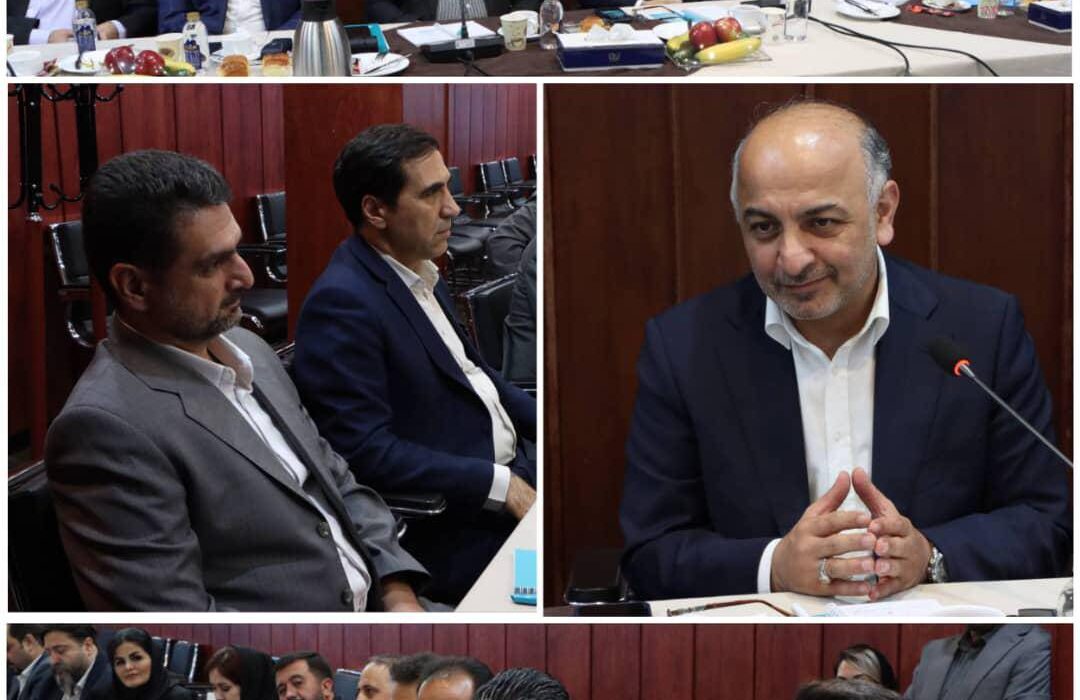 مدیرعامل شرکت بیمه دی: تحول دیجیتال در بیمه دی حوزه فعالیت نمایندگان را گسترش داده است