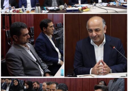 مدیرعامل شرکت بیمه دی: تحول دیجیتال در بیمه دی حوزه فعالیت نمایندگان را گسترش داده است