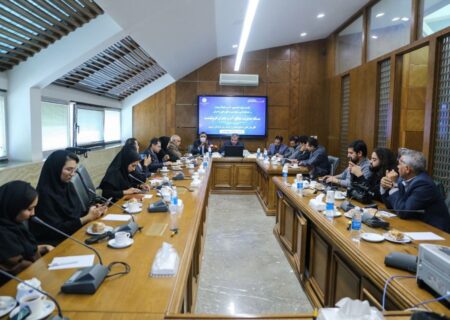 پرهیز از نگاه پروژه‌محور به پدیده فرونشست؛ مطالعات جامع برای ارائه راهکارهای عملیاتی/ ضرورت تهیه نقشه خطر فرونشست در شهر مشهد