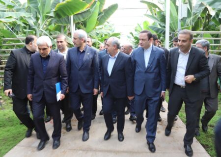 بازدید وزیر اقتصاد و دبیر شورای‌عالی مناطق آزاد از پروژه «گوزل طبیعت ارس»