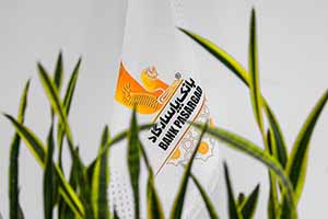 تداوم عملکرد موفق بانک پاسارگاد در حمایت از خانواده؛ تحقق ۹۵درصدی سهمیه تسهیلات ازدواج تا پایان آبانماه۱۴۰۴