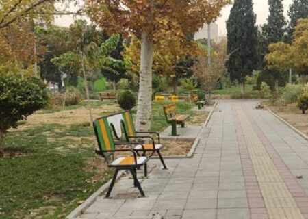 دلاوران بوستان دوستدار معلولین شد