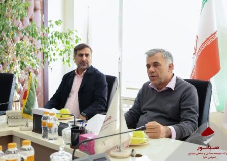 تأکید داریوش اسماعیلی بر بررسی سناریوهای بهره‌برداری از کارخانه گندله‌سازی بیجار