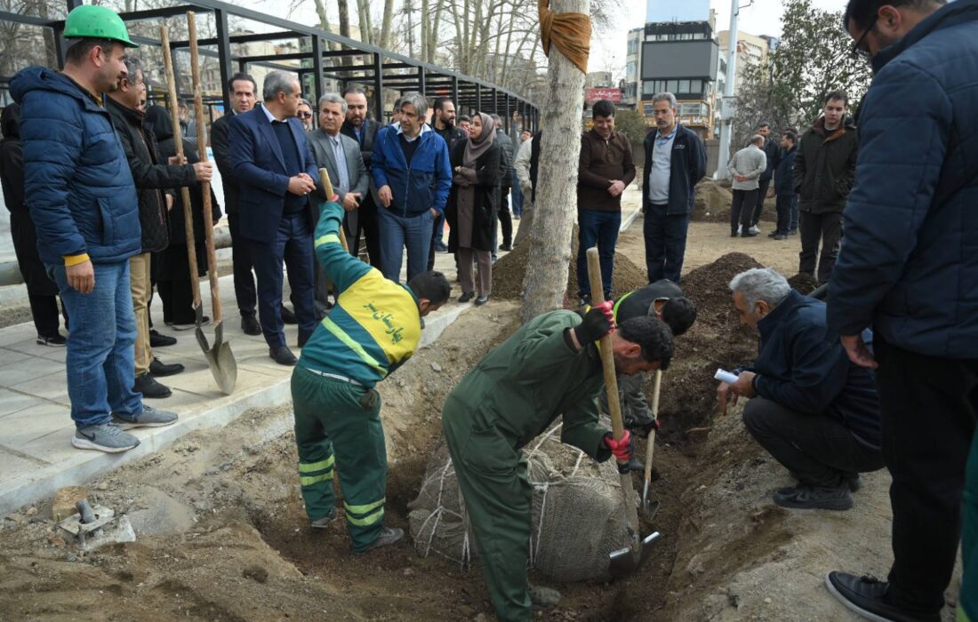 ۱۳ اصله درخت دیگر به فضای سبز میدان تجریش اضافه شد