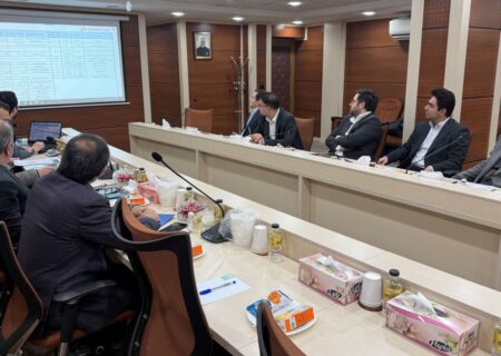 برگزاری جلسات عملکرد ۹ ماهه و بودجه ۱۴۰۵ شرکت‌های تجلی و ایمپادکو در هلدینگ ومعادن