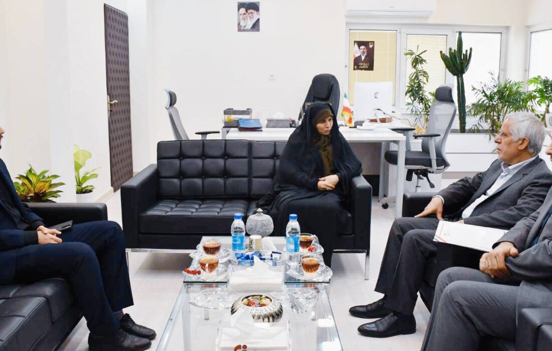 پیگیری عملیاتی ایجاد ژئوپارک و پتانسیل‌یابی ذخایر معدنی در شهرستان نائین