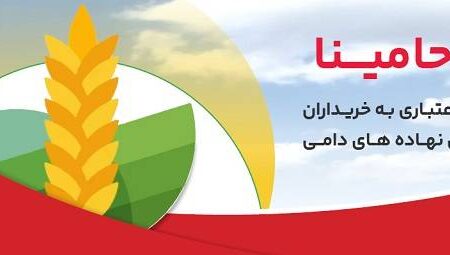 «حامینا» محصول جدید بانک ملت برای تامین مالی نهاده های دامی