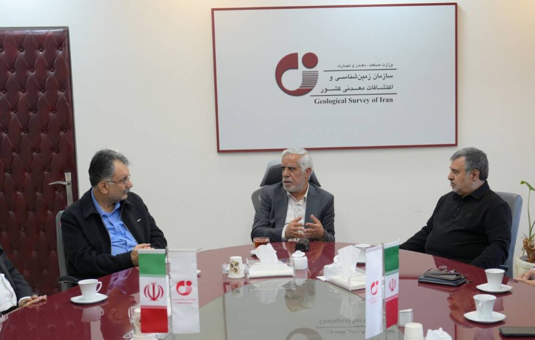 دیدار نمایندگان مجلس شورای اسلامی با معاون وزیر صمت و رئیس سازمان زمینشناسی و اکتشافات معدنی