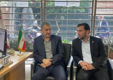 مدیرعامل بانک سرمایه به طور سرزده از شعبه میدان فاطمی و واحد مستقل ارزی غرب تهران بازدید کرد