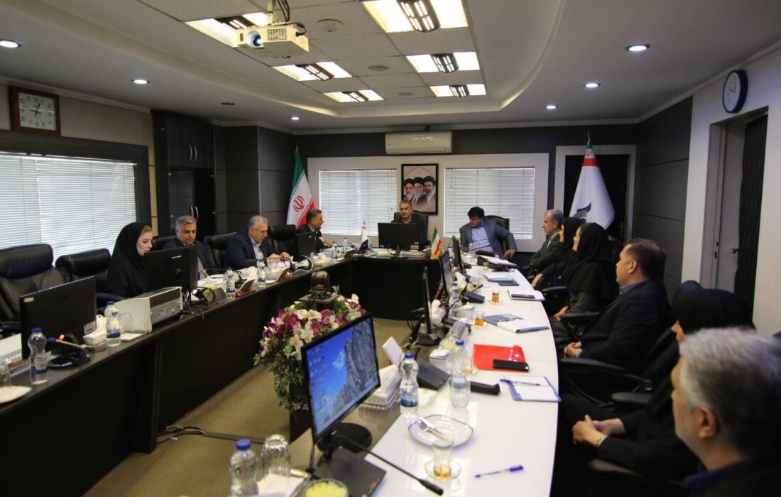 تأکید سرپرست مدیریت عامل بانک سرمایه بر استفاده حداکثری از ابزارهای تعهدی