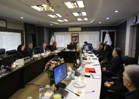 تأکید سرپرست مدیریت عامل بانک سرمایه بر استفاده حداکثری از ابزارهای تعهدی