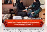 از ارائه مشاوره تلفنی به ۳۵۰۰ شهروند تا رسیدگی به ۲۹۰ سالمند تنها و خانواده های دارای معلولیت جسمی