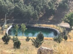 توسعه نیروگاه خورشیدی بوستان جنگلی سرخه‌حصار به ۱۵۵ کیلووات