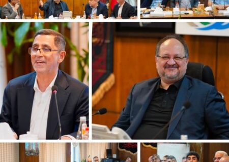 تأکید مدیرعامل هلدینگ خلیج‌فارس بر تسریع در اجرای پروژه‌های تأمین برق شرکت‌های آسیب‌دیده با مشارکت مپنا